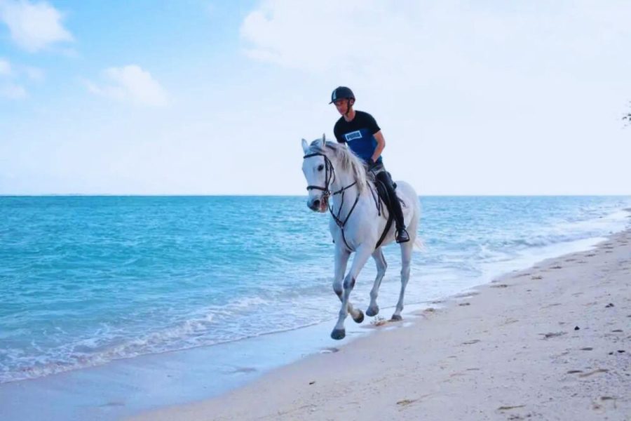 Horse Riding on the beach and sea