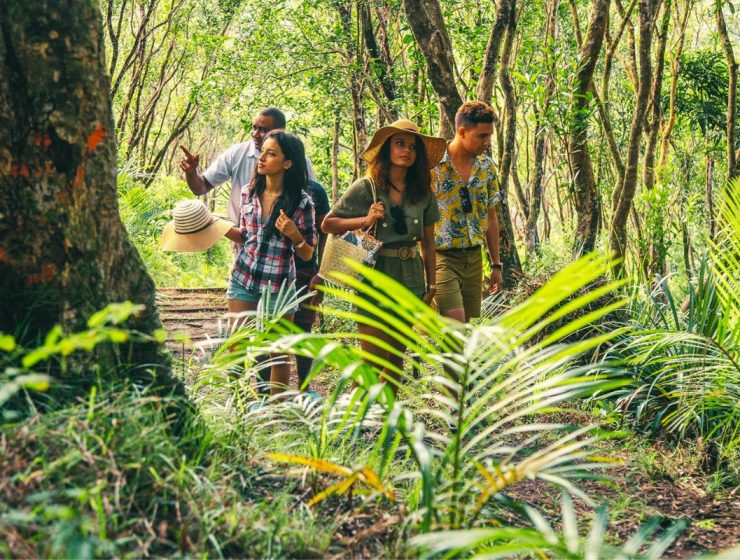 Rodrigues Full Day Tour Nature Walk